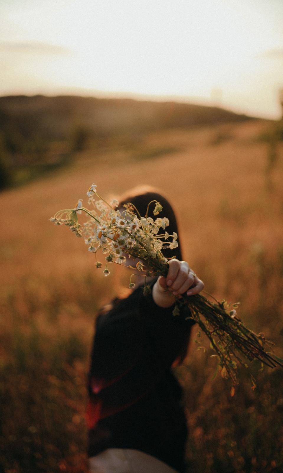 Flori sălbatice delicate