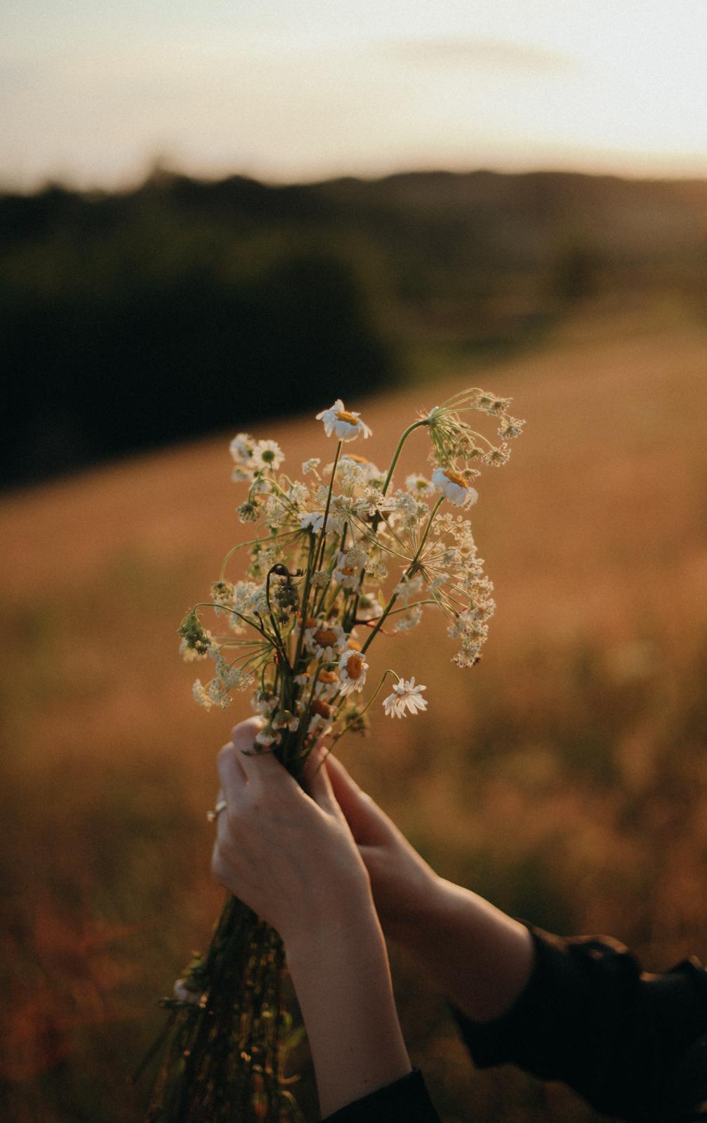 Buchet de flori de câmp